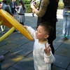 100_8991.JPG