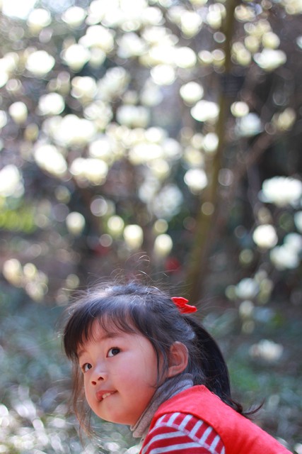 journal_insert_pic_76103619