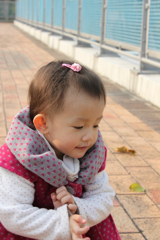 journal_insert_pic_76810097
