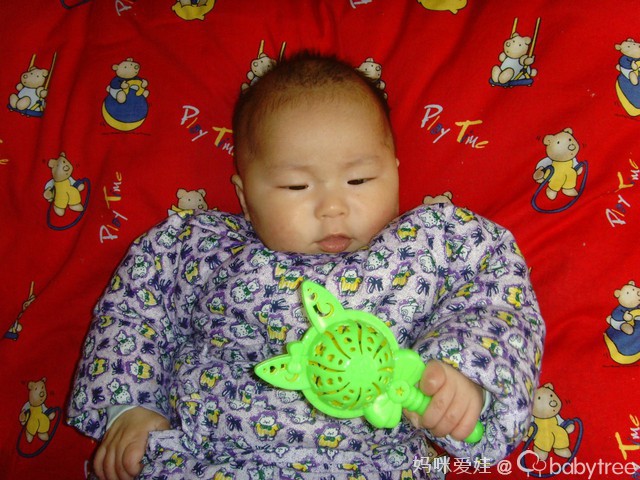 journal_insert_pic_76785601