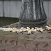 DSC_5502.JPG