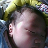 IMG0170A.jpg