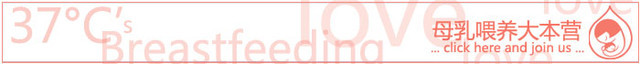 journal_insert_pic_78368444