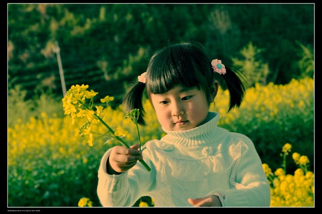 journal_insert_pic_79441286