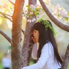 玉渊潭赏樱