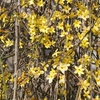 DSC01490.JPG
