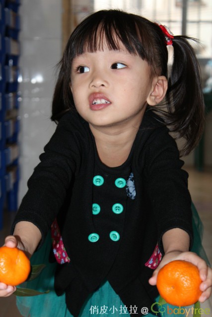journal_insert_pic_81127020