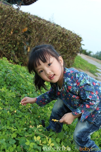 journal_insert_pic_81148324