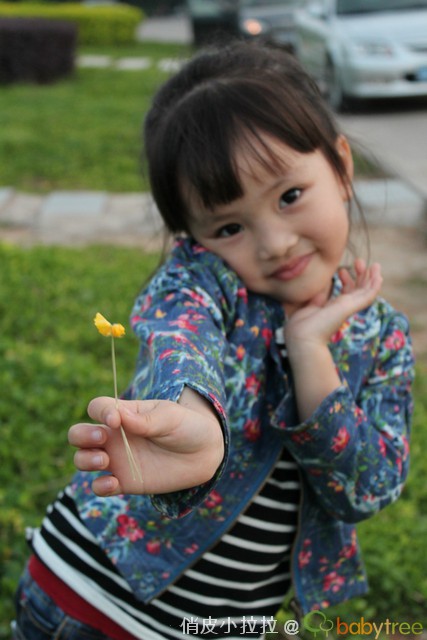 journal_insert_pic_81148253