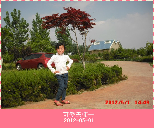 journal_insert_pic_81321588