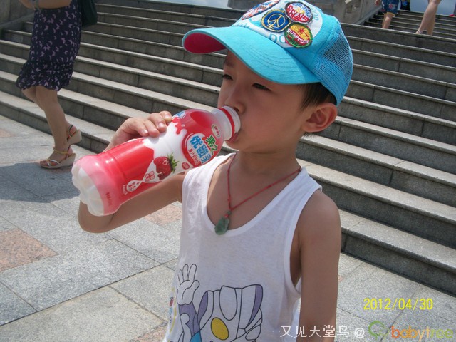journal_insert_pic_81546313