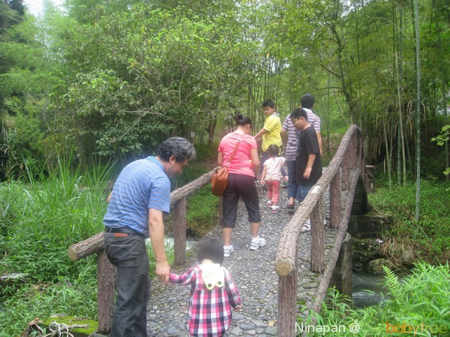 journal_insert_pic_81601300