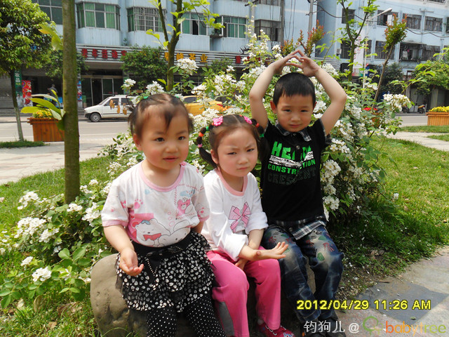 journal_insert_pic_81548642