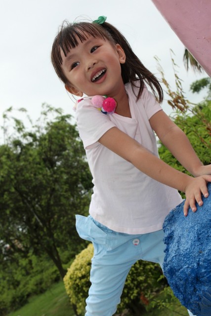 journal_insert_pic_82126651