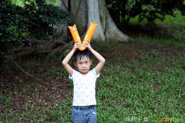 journal_insert_pic_82625213