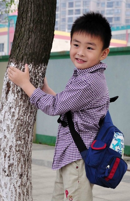 journal_insert_pic_82557453