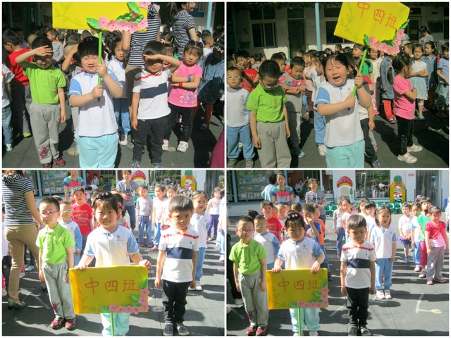 journal_insert_pic_110831703