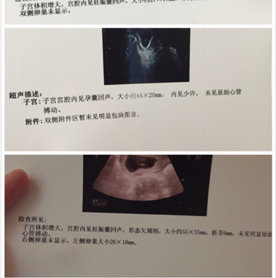 journal_insert_pic_272700742