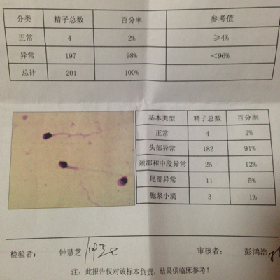 journal_insert_pic_298176342