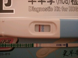 journal_insert_pic_382414727