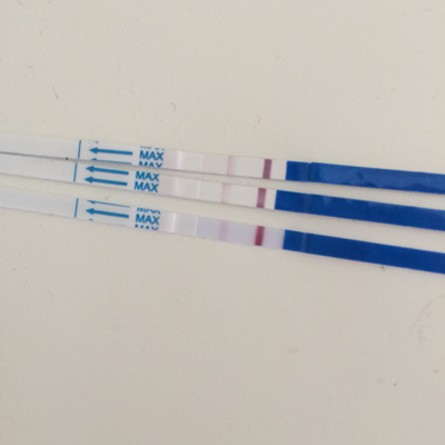 journal_insert_pic_390255401