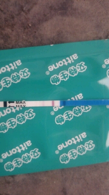 journal_insert_pic_424412311