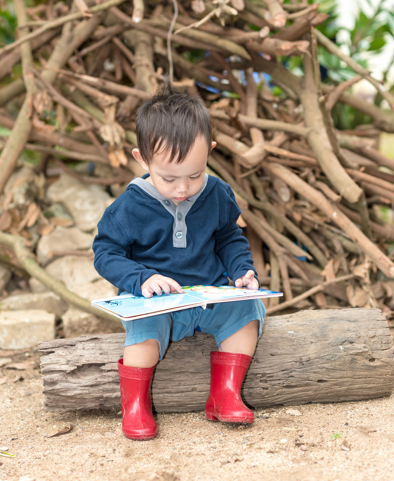 journal_insert_pic_809607514