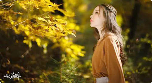 journal_insert_pic_990776254