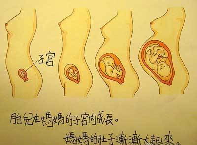 香港最受欢迎儿童性教育绘本