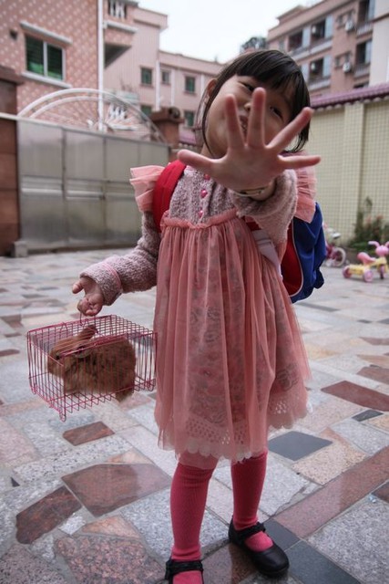 话说五岁小朋友搬家后的心理变化_蜜糖是深圳的孩子.