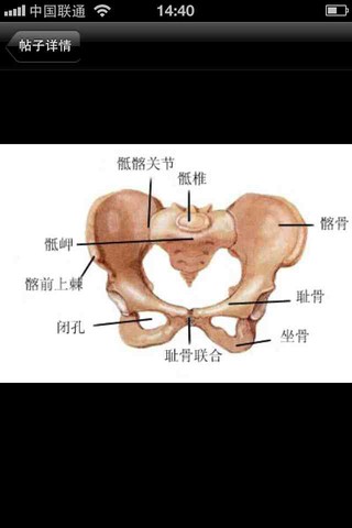有宝妈耻骨疼的吗?