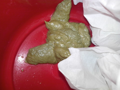 宝的屎正常吗,有图,嫌恶的误进