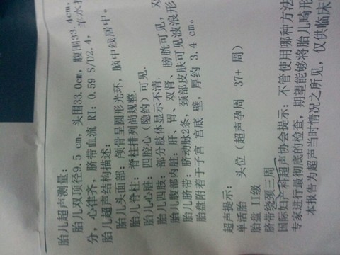 journal_insert_pic_122186137