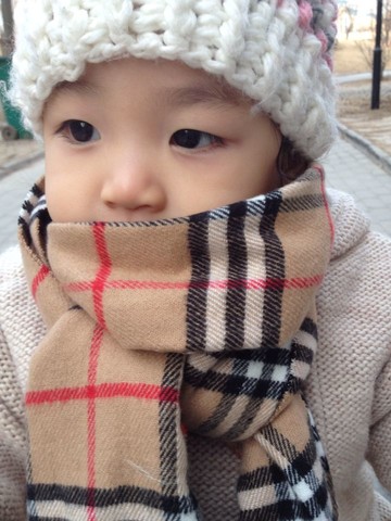 journal_insert_pic_122883003
