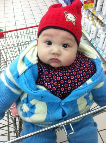 journal_insert_pic_123187333