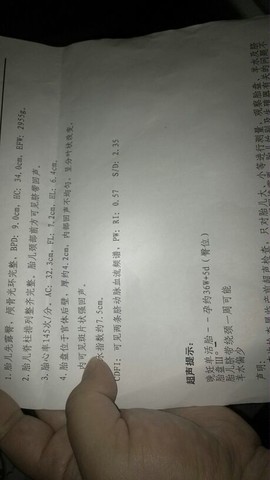 journal_insert_pic_123360132
