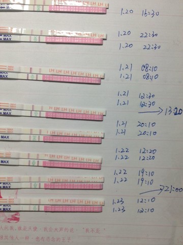 journal_insert_pic_123863406