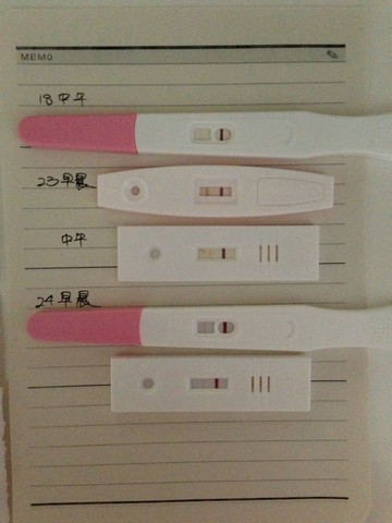 journal_insert_pic_123897212