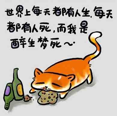 猫言猫语(超可爱,超搞笑)……人生哲理