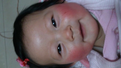 journal_insert_pic_123987536