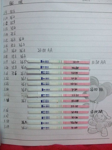journal_insert_pic_124296265