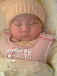journal_insert_pic_124269271