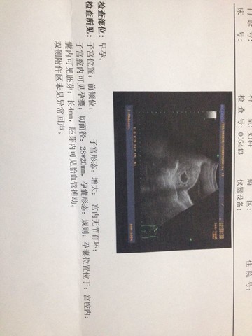journal_insert_pic_124670596