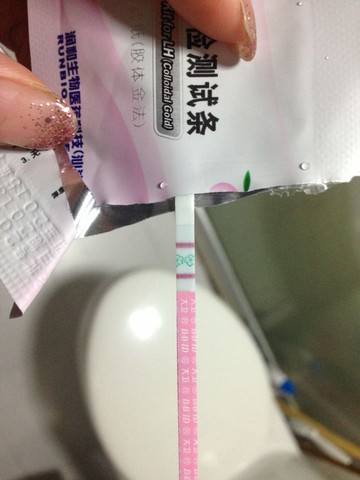 journal_insert_pic_124896374