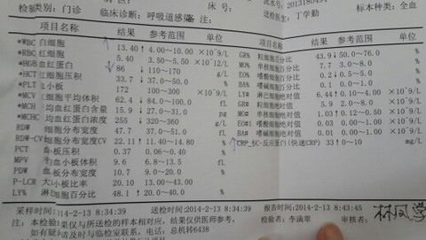 journal_insert_pic_125389607