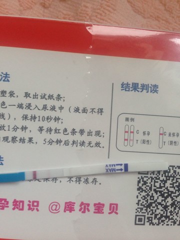 journal_insert_pic_125523548