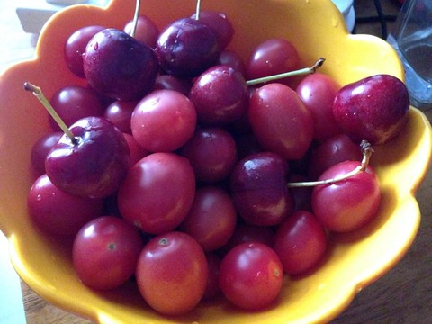 journal_insert_pic_125616201