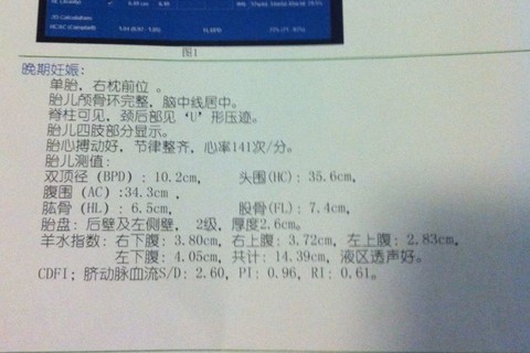 journal_insert_pic_126105540