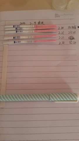 journal_insert_pic_126406977
