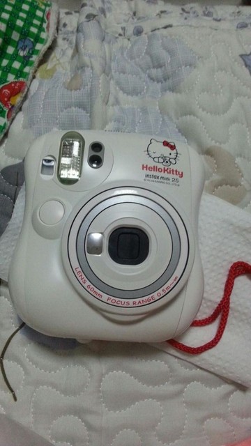 journal_insert_pic_126459004